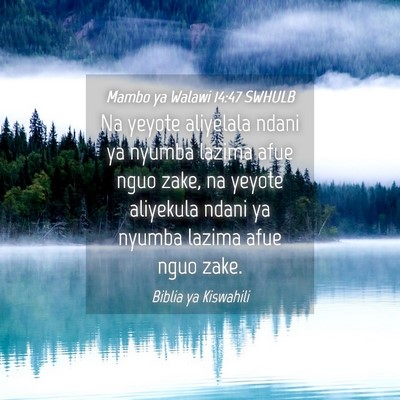 Picture 04 - Mambo ya Walawi 14:47 SWHULB - Na yeyote aliyelala ndani ya nyumba lazima afue - Bible Verse Picture