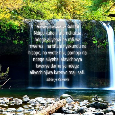 Picture 04 - Mambo ya Walawi 14:6 SWHULB - Ndipo kuhani atamchukua ndege aliyehai na mti wa - Bible Verse Picture