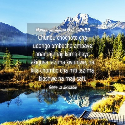 Picture 04 - Mambo ya Walawi 15:12 SWHULB - Chungu chochote cha udongo ambacho ambaye - Bible Verse Picture