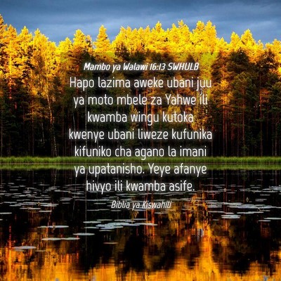 Picture 04 - Mambo ya Walawi 16:13 SWHULB - Hapo lazima aweke ubani juu ya moto mbele za - Bible Verse Picture