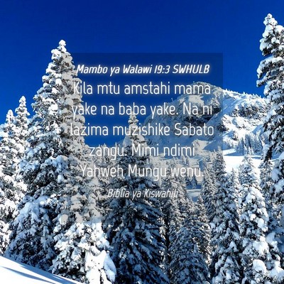 Picture 04 - Mambo ya Walawi 19:3 SWHULB - Kila mtu amstahi mama yake na baba yake. Na ni - Bible Verse Picture