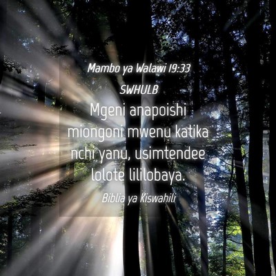 Picture 04 - Mambo ya Walawi 19:33 SWHULB - Mgeni anapoishi miongoni mwenu katika nchi yanu, - Bible Verse Picture