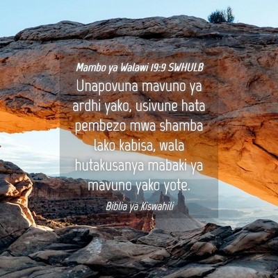 Picture 04 - Mambo ya Walawi 19:9 SWHULB - Unapovuna mavuno ya ardhi yako, usivune hata - Bible Verse Picture
