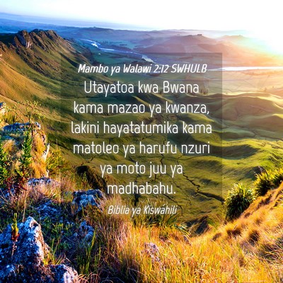 Picture 04 - Mambo ya Walawi 2:12 SWHULB - Utayatoa kwa Bwana kama mazao ya kwanza, lakini - Bible Verse Picture