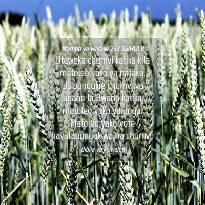 Picture 04 - Mambo ya Walawi 2:13 SWHULB - Utaweka chumvi katika kila matoleo yako ya - Bible Verse Picture