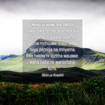 Picture 04 - Mambo ya Walawi 20:16 SWHULB - Ikiwa mwanamke anamkaribia mnyama ili kulala - Bible Verse Picture