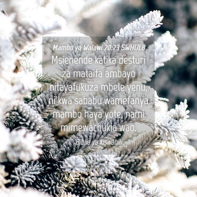 Picture 04 - Mambo ya Walawi 20:23 SWHULB - Msienende katika desturi za mataifa ambayo - Bible Verse Picture