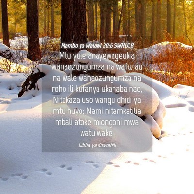 Picture 04 - Mambo ya Walawi 20:6 SWHULB - Mtu yule anayewageukia wanaozungumza na wafu, au - Bible Verse Picture