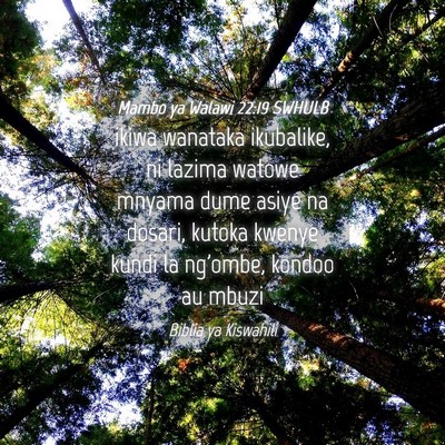 Picture 04 - Mambo ya Walawi 22:19 SWHULB - ikiwa wanataka ikubalike, ni lazima watowe mnyama - Bible Verse Picture