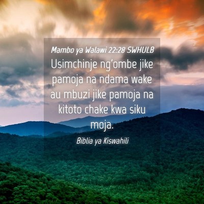 Picture 04 - Mambo ya Walawi 22:28 SWHULB - Usimchinje ng'ombe jike pamoja na ndama wake au - Bible Verse Picture