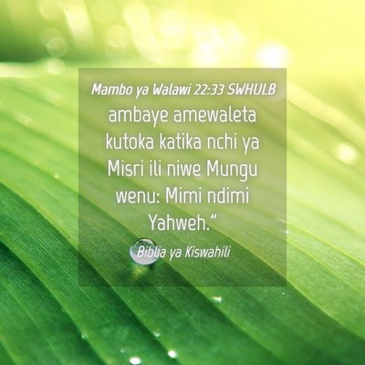 Picture 04 - Mambo ya Walawi 22:33 SWHULB - ambaye amewaleta kutoka katika nchi ya Misri ili - Bible Verse Picture
