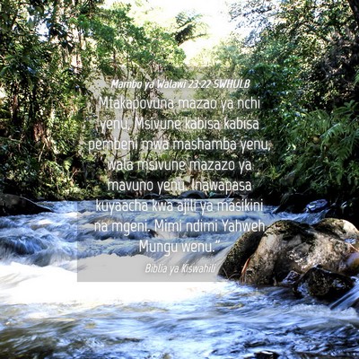 Picture 04 - Mambo ya Walawi 23:22 SWHULB - Mtakapovuna mazao ya nchi yenu, Msivune kabisa - Bible Verse Picture