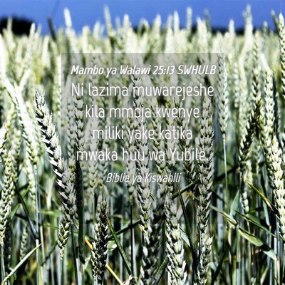 Picture 04 - Mambo ya Walawi 25:13 SWHULB - Ni lazima muwarejeshe kila mmoja kwenye miliki - Bible Verse Picture