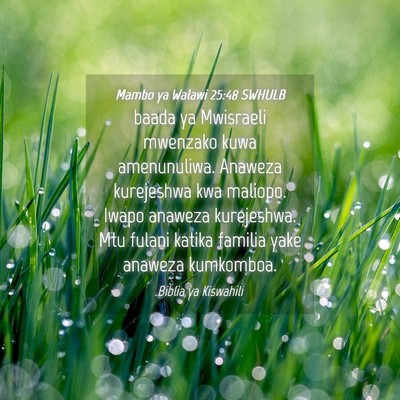 Picture 04 - Mambo ya Walawi 25:48 SWHULB - baada ya Mwisraeli mwenzako kuwa amenunuliwa. - Bible Verse Picture