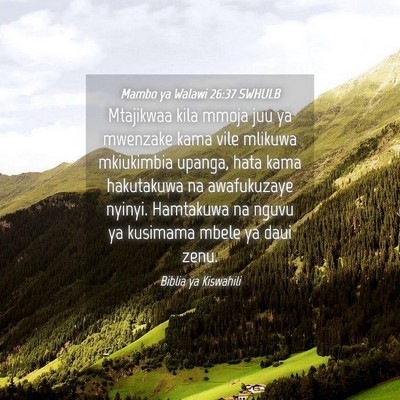 Picture 04 - Mambo ya Walawi 26:37 SWHULB - Mtajikwaa kila mmoja juu ya mwenzake kama vile - Bible Verse Picture