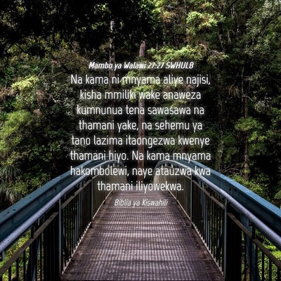 Picture 04 - Mambo ya Walawi 27:27 SWHULB - Na kama ni mnyama aliye najisi, kisha mmiliki - Bible Verse Picture