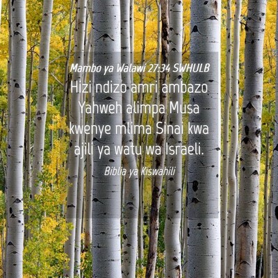 Picture 04 - Mambo ya Walawi 27:34 SWHULB - Hizi ndizo amri ambazo Yahweh alimpa Musa kwenye - Bible Verse Picture