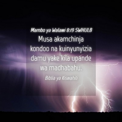 Picture 04 - Mambo ya Walawi 8:19 SWHULB - Musa akamchinja kondoo na kuinyunyizia damu yake - Bible Verse Picture