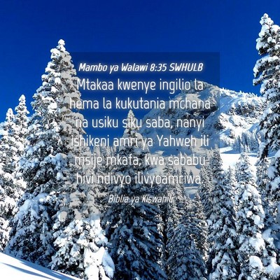 Picture 04 - Mambo ya Walawi 8:35 SWHULB - Mtakaa kwenye ingilio la hema la kukutania mchana - Bible Verse Picture