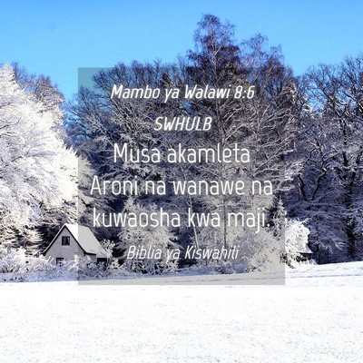 Picture 04 - Mambo ya Walawi 8:6 SWHULB - Musa akamleta Aroni na wanawe na kuwaosha kwa - Bible Verse Picture
