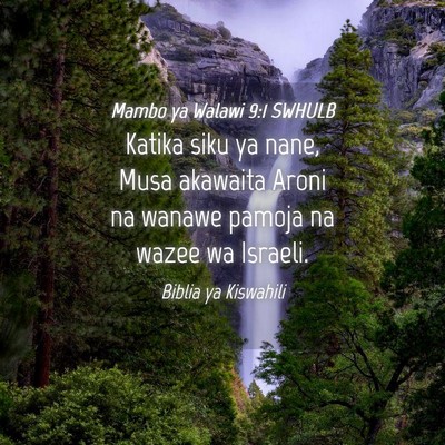 Picture 04 - Mambo ya Walawi 9:1 SWHULB - Katika siku ya nane, Musa akawaita Aroni na - Bible Verse Picture