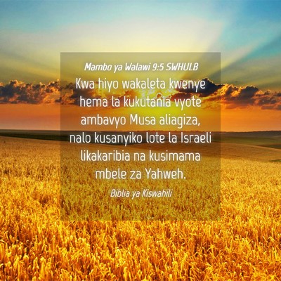 Picture 04 - Mambo ya Walawi 9:5 SWHULB - Kwa hiyo wakaleta kwenye hema la kukutania vyote - Bible Verse Picture
