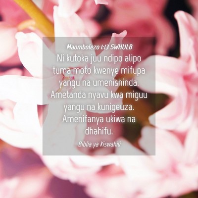 Picture 04 - Maombolezo 1:13 SWHULB - Ni kutoka juu ndipo alipo tuma moto kwenye mifupa - Bible Verse Picture