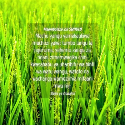 Picture 04 - Maombolezo 2:11 SWHULB - Macho yangu yamekaukiwa machozi yake; tumbo langu - Bible Verse Picture