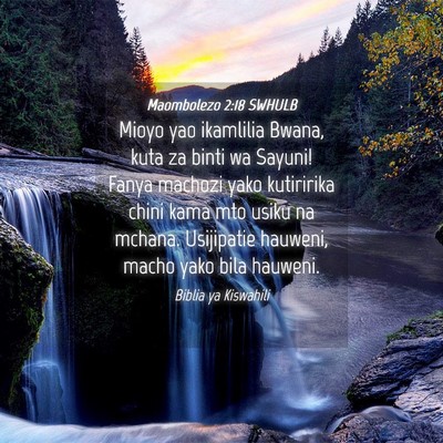 Picture 04 - Maombolezo 2:18 SWHULB - Mioyo yao ikamlilia Bwana, kuta za binti wa - Bible Verse Picture