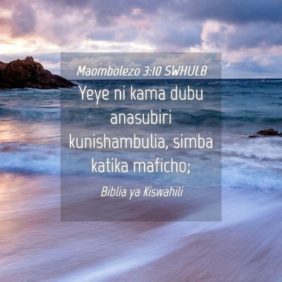Picture 04 - Maombolezo 3:10 SWHULB - Yeye ni kama dubu anasubiri kunishambulia, simba - Bible Verse Picture