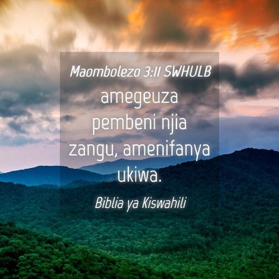 Picture 04 - Maombolezo 3:11 SWHULB - amegeuza pembeni njia zangu, amenifanya - Bible Verse Picture