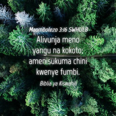 Picture 04 - Maombolezo 3:16 SWHULB - Alivunja meno yangu na kokoto; amenisukuma chini - Bible Verse Picture
