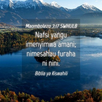Picture 04 - Maombolezo 3:17 SWHULB - Nafsi yangu imenyimwa amani; nimesahau furaha ni - Bible Verse Picture