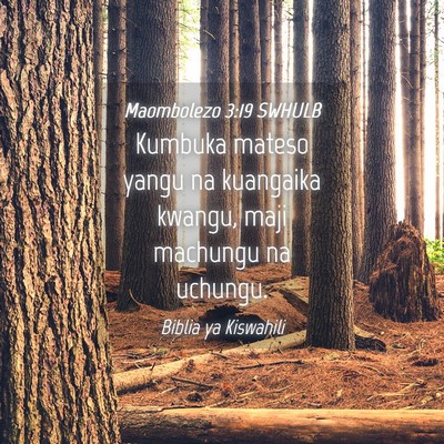 Picture 04 - Maombolezo 3:19 SWHULB - Kumbuka mateso yangu na kuangaika kwangu, maji - Bible Verse Picture