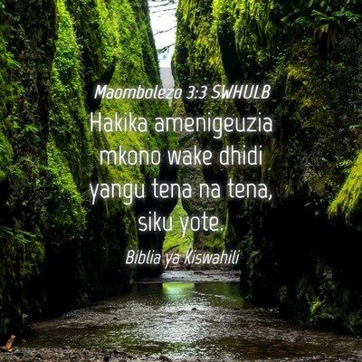 Picture 04 - Maombolezo 3:3 SWHULB - Hakika amenigeuzia mkono wake dhidi yangu tena na - Bible Verse Picture