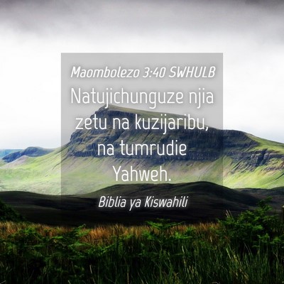 Picture 04 - Maombolezo 3:40 SWHULB - Natujichunguze njia zetu na kuzijaribu, na - Bible Verse Picture