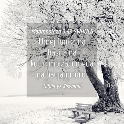Picture 04 - Maombolezo 3:43 SWHULB - Umejifunika na hasira na kutukimbiza, umeua na - Bible Verse Picture