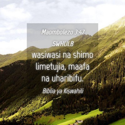 Picture 04 - Maombolezo 3:47 SWHULB - wasiwasi na shimo limetujia, maafa na - Bible Verse Picture