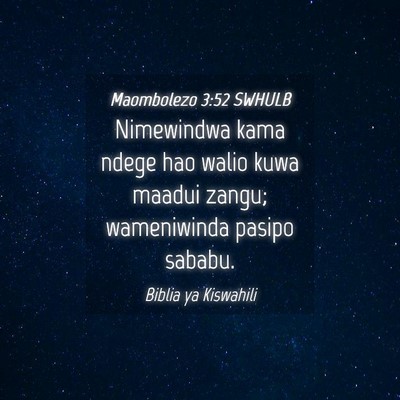 Picture 04 - Maombolezo 3:52 SWHULB - Nimewindwa kama ndege hao walio kuwa maadui - Bible Verse Picture