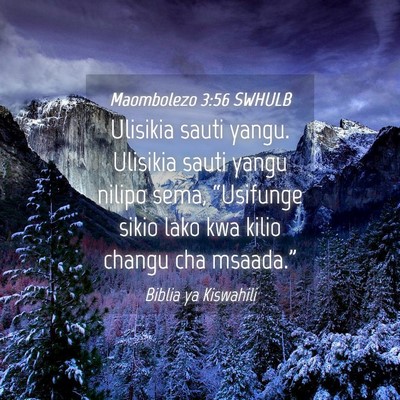 Picture 04 - Maombolezo 3:56 SWHULB - Ulisikia sauti yangu. Ulisikia sauti yangu nilipo - Bible Verse Picture