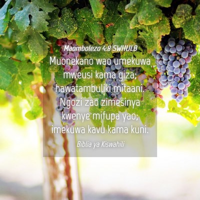 Picture 04 - Maombolezo 4:8 SWHULB - Muonekano wao umekuwa mweusi kama giza; - Bible Verse Picture