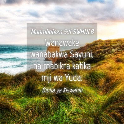 Picture 04 - Maombolezo 5:11 SWHULB - Wanawake wanabakwa Sayuni, na mabikra katika mji - Bible Verse Picture
