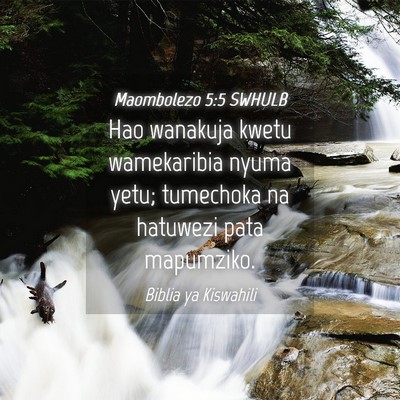 Picture 04 - Maombolezo 5:5 SWHULB - Hao wanakuja kwetu wamekaribia nyuma yetu; - Bible Verse Picture