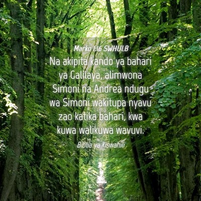 Picture 04 - Marko 1:16 SWHULB - Na akipita kando ya bahari ya Galilaya, alimwona - Bible Verse Picture