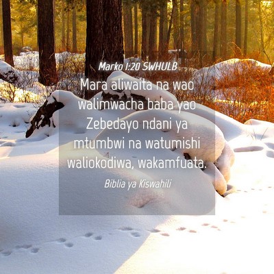 Picture 04 - Marko 1:20 SWHULB - Mara aliwaita na wao walimwacha baba yao Zebedayo - Bible Verse Picture