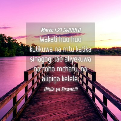 Picture 04 - Marko 1:23 SWHULB - Wakati huo huo kulikuwa na mtu katika sinagogi - Bible Verse Picture