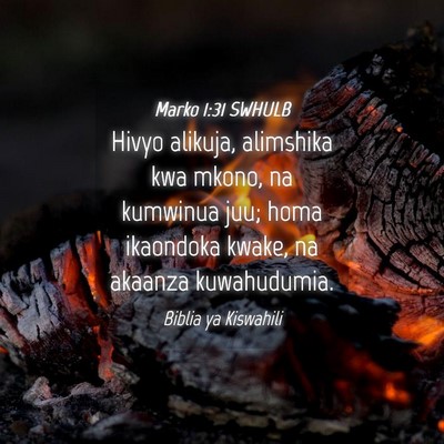 Picture 04 - Marko 1:31 SWHULB - Hivyo alikuja, alimshika kwa mkono, na kumwinua - Bible Verse Picture