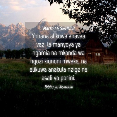 Picture 04 - Marko 1:6 SWHULB - Yohana alikuwa anavaa vazi la manyoya ya ngamia - Bible Verse Picture
