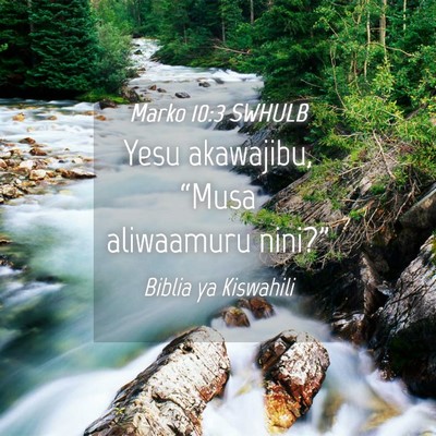 Picture 04 - Marko 10:3 SWHULB - Yesu akawajibu, “Musa aliwaamuru - Bible Verse Picture
