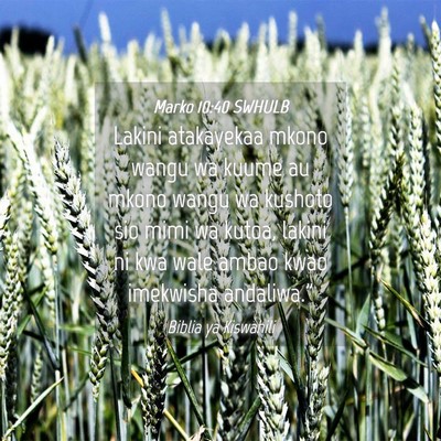 Picture 04 - Marko 10:40 SWHULB - Lakini atakayekaa mkono wangu wa kuume au mkono - Bible Verse Picture